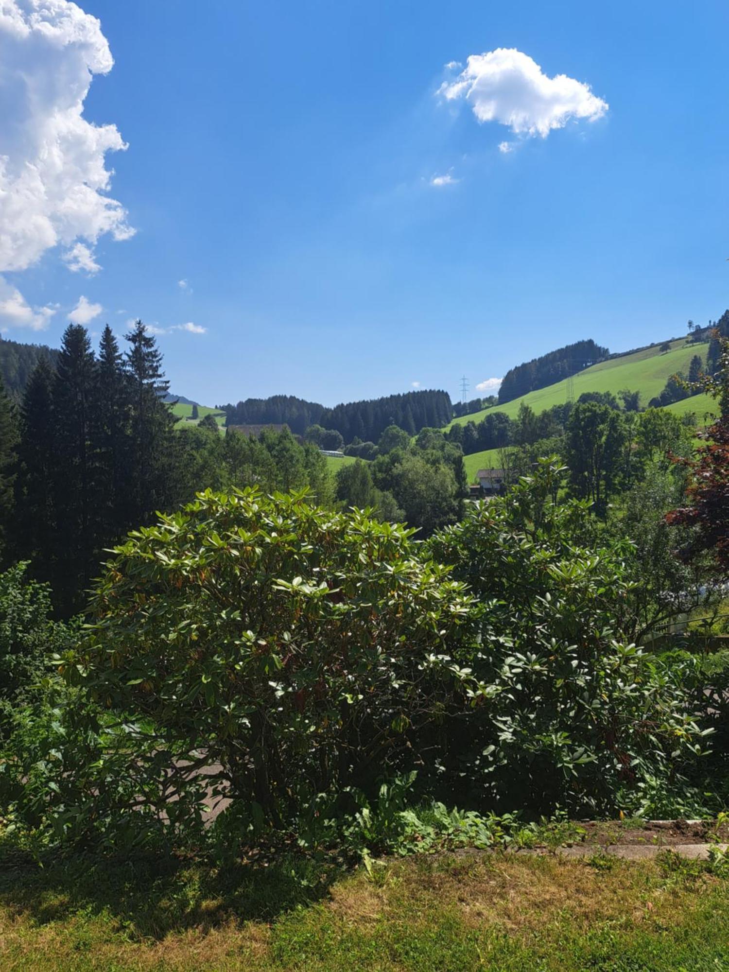 Baumgartner - Bauernhaus Weißkirchen in Steiermark Exterior foto