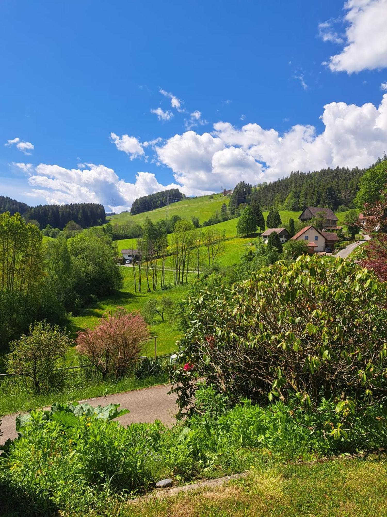 Baumgartner - Bauernhaus Weißkirchen in Steiermark Exterior foto